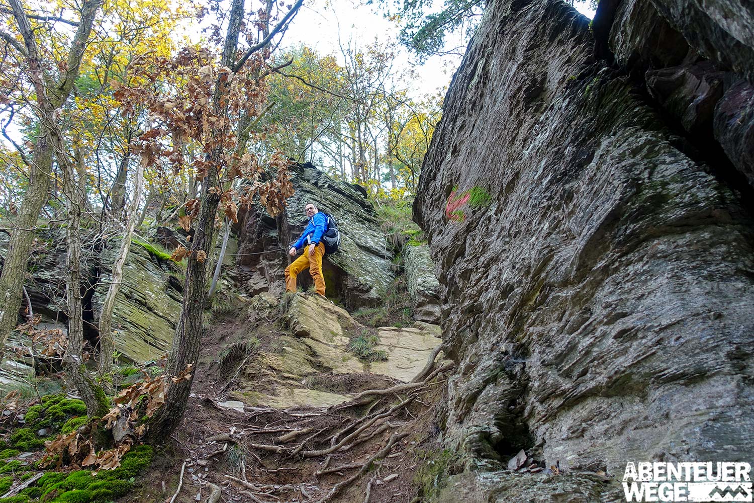 Kletterteil auf dem Moselsteig