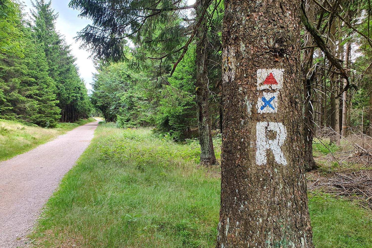 Rennsteig Beschilderung