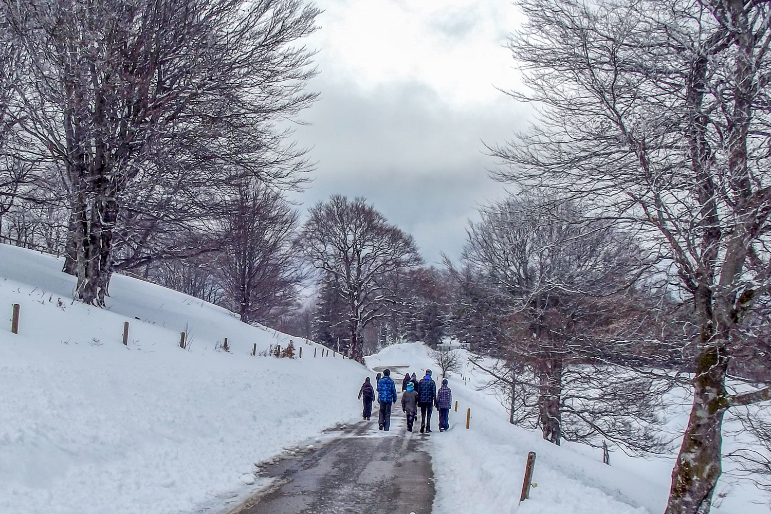 Familie beim Winterwandern