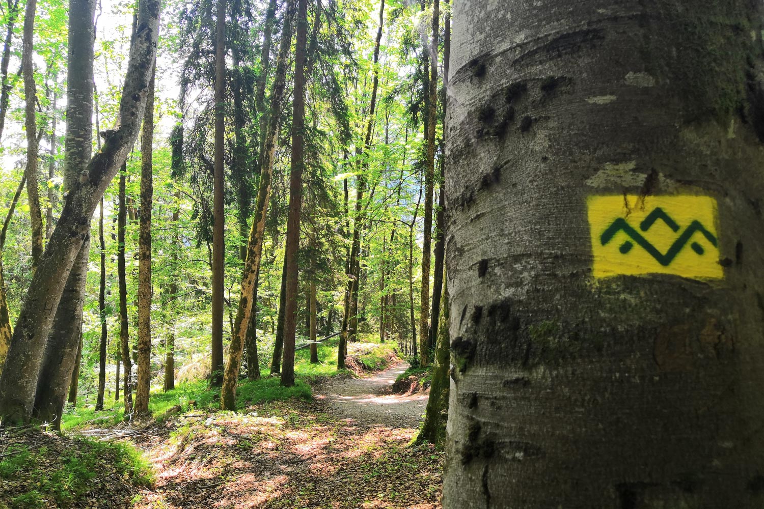 Wunderbare Wegbeschilderungen des Salzalpensteigs
