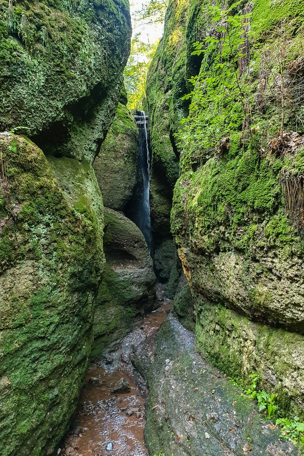 Drachenschlucht
