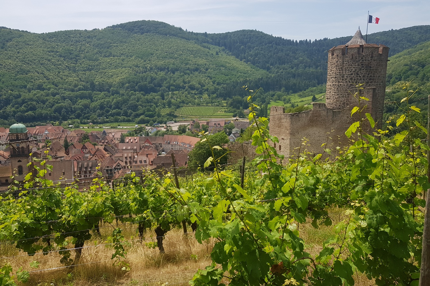 Chateau von Kayserburg