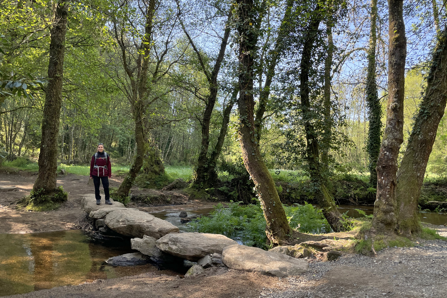 Auf dem Weg nach Santiago